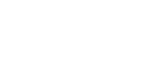 The Welch Group