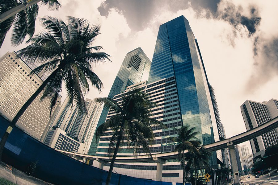 Contact - Closeup and Curved View of Florida City and Palm Trees With Colors Saturated